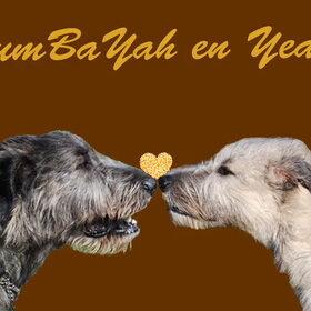 Yeager en KumBaYah. Gemaakt door Naomi.