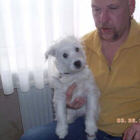 snowy ook een broertje van ayro