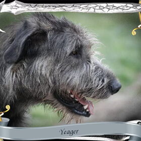 Yeager