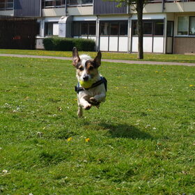 Flying Jack.