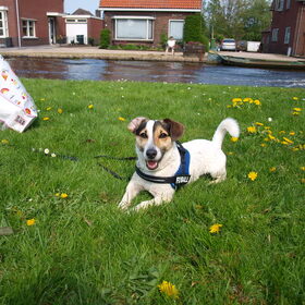 Mooierd.