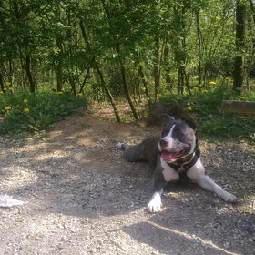 Lekker in het duinen