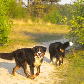 Oh nee, nu moeten we ook nog wachten tot we allemaal weer samen…