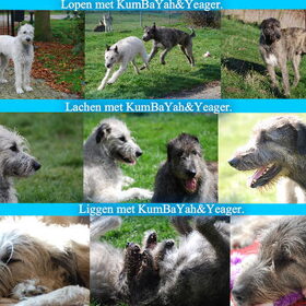 Yeager en KumBaYah. Gemaakt door happydroepiezottiedolly.