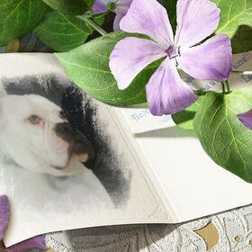 Hondenfoto van Melissa---Rocco&Lady