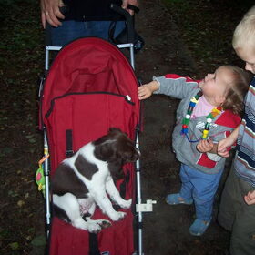 Tja als je nog een baby bent en je bent moe, dan gewoon in de…