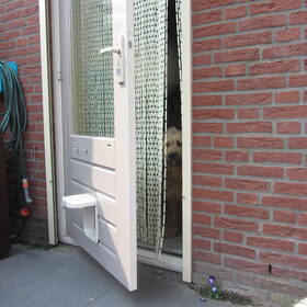 het rommelde wat in de lucht dus het was volgens levi behoorlijk…