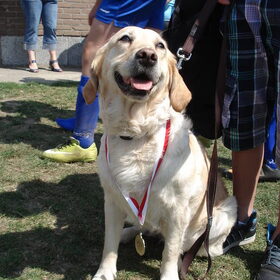 Tess verdient een medaille!! :-)