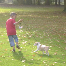 spelen in het park met Renzo