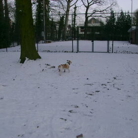 sneeuwpret