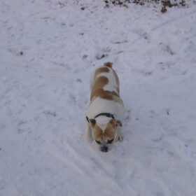 lekkere sneeuw mmmm
