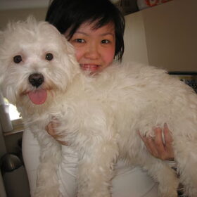 Hondenfoto van jacky 