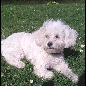 Nousya,, ze geniet van het heerlijke lente weer