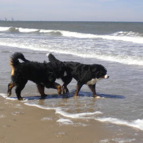 Op verkenning in de grote watermassa ...