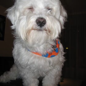 haha jacky wilde niet op de fotooo!