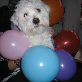jacky was jarig! 1 jaar geworden!