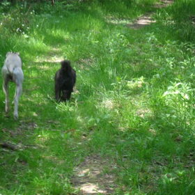 samen op pad
