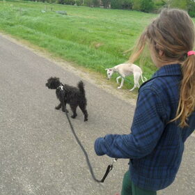 volgende ochtend nog even een laatse wandeling maken met z'n…