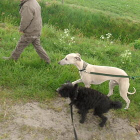naast elkaar aan het lopen.