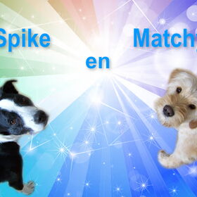 Zelf een foto van Spike en Matchy bewerkt.