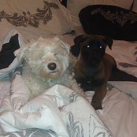Samen met mijn beste vriend Snowy