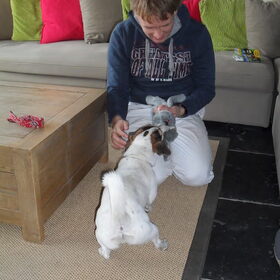 Spelen met de baas. Net aangekomen.
