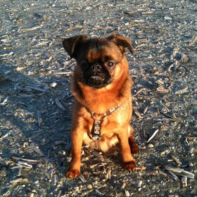 Vroeg zonnetje op het strand.