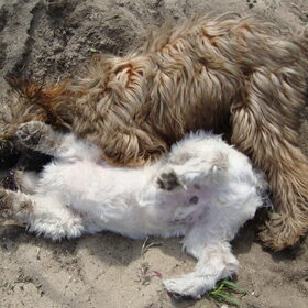 In het zand spelen met vriendinnetje Keyna