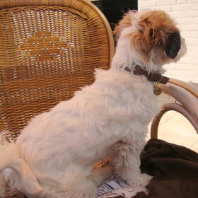 Alles in de gaten houden