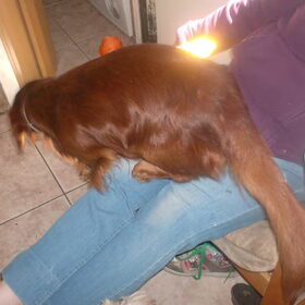 Mailo springt van mama's schoot