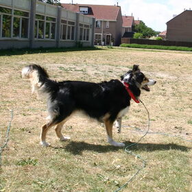 Layla let goed op de bal