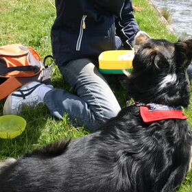 Layla aan het water, met haar nieuwe halsband, hoe vinden jullie…