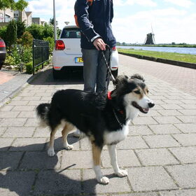 Layla staat heel stoer, met de (harde) wind in haar haren