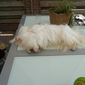 Ely vind het prima zo.