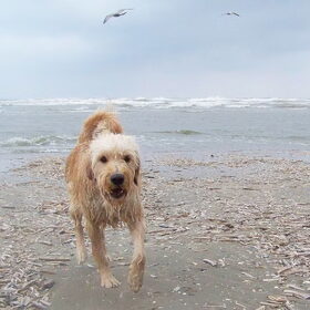 op vakantie in Castricum