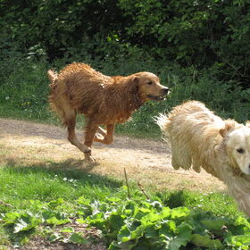 en ACTIE !!