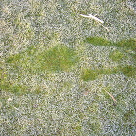 Dit is mijn silhouet in de dauw op het gras :-)