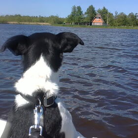 Oren omhoog en varen maar !!!