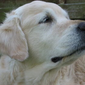 Of deze kant ook mooi.