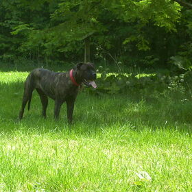 luna nu 7maand oud