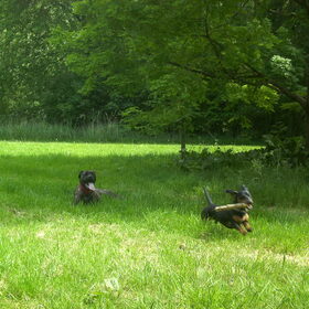 luna en max aan spelen in de bos