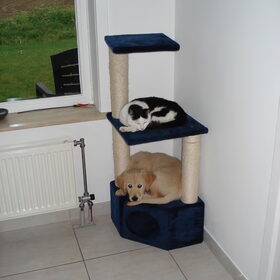 haha, de kat ziet me niet...