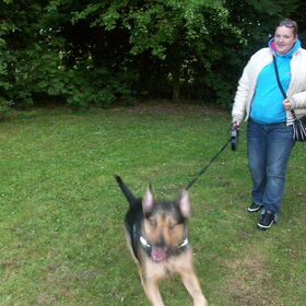 Hondenfoto van Claudia & Tank