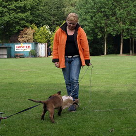 Spelen met de pup