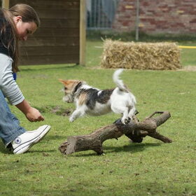 Teddy JUMP