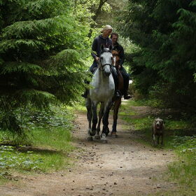 Deze kwamen we tegen, mooi paarden en met kanjer ernaast even…