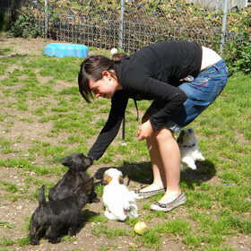 Hondenfoto van Melissa, Dempsey, Taiko, Minos & *Nina*
