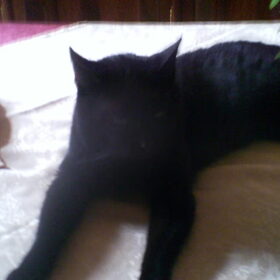 pruts