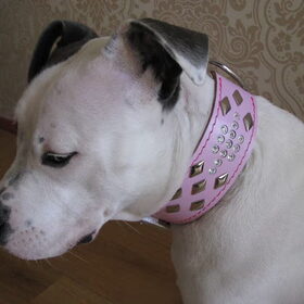 Lady de bling bling halsband