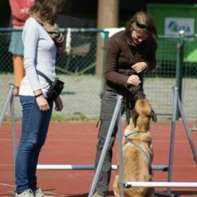 Hondenfoto van brenda & cora ° Eros ° Frodo
